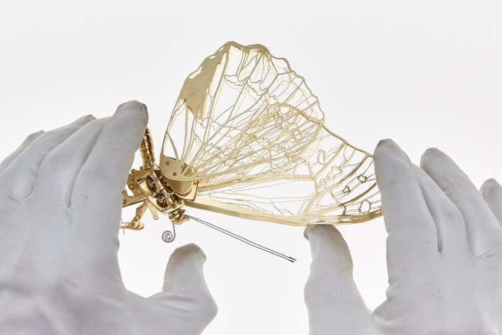 OliverSmartFlightisaWaltzHands