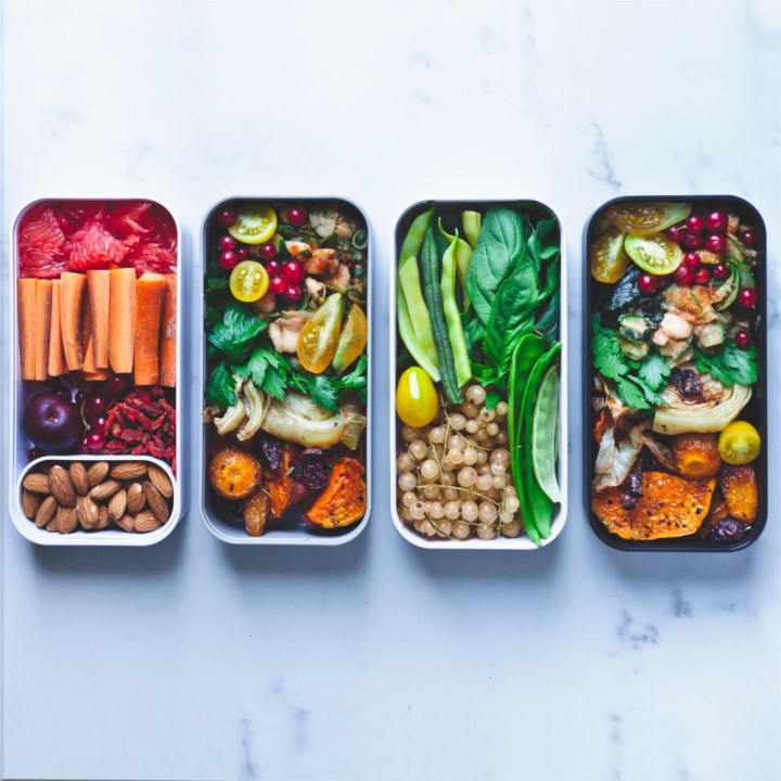 Shiso Delicious-bento samples-1-3