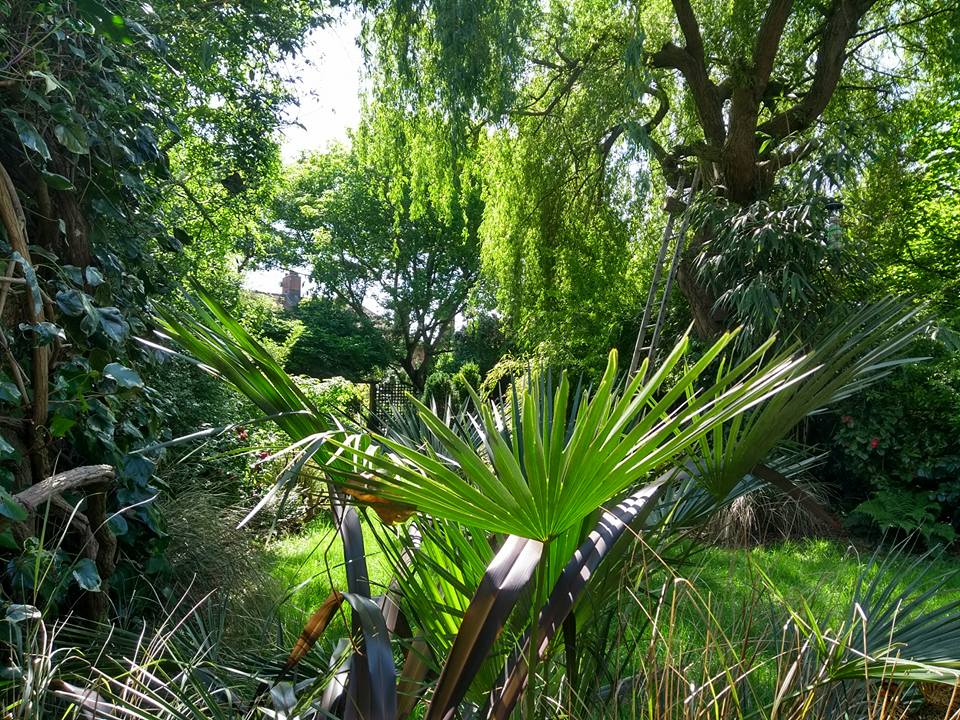 National Garden Scheme bringing open gardens to Tottenham and beyond