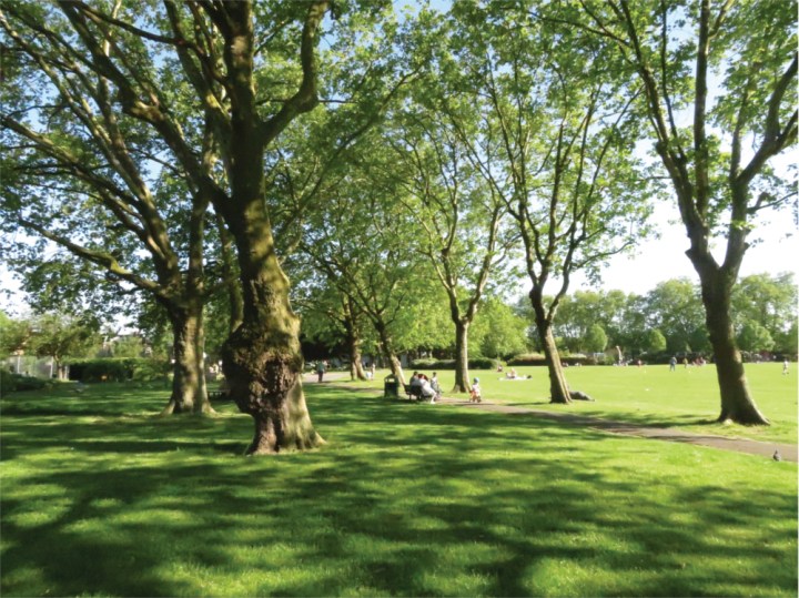 Chestnuts planes copyS