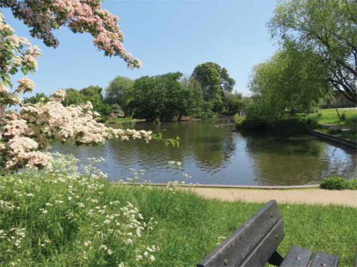 Lordship blossom lakejpg copyS